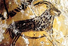 Niaux - bouquetin.jpg